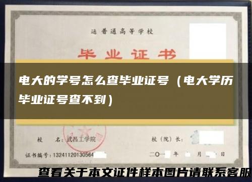 电大的学号怎么查毕业证号(电大学历毕业证号查不到) 电大的学号怎么查毕业证号(电大学历毕业证号查不到)