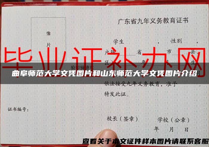 曲阜师范大学文凭图片和山东师范大学文凭图片介绍 曲阜师范大学文凭图片和山东师范大学文凭图片介绍