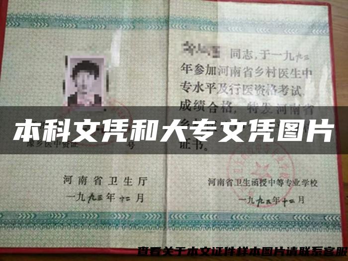 本科文凭和大专文凭图片 本科文凭和大专文凭图片