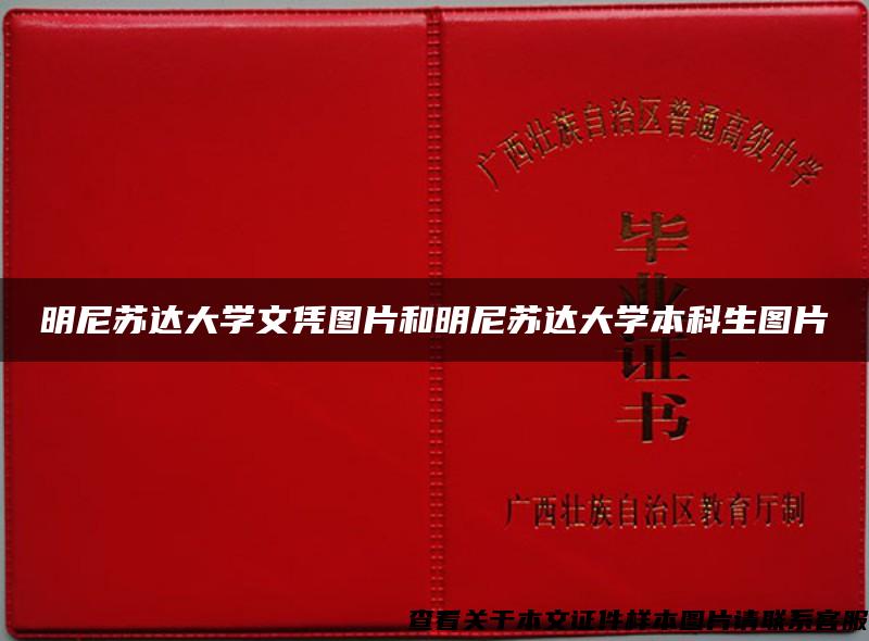 明尼苏达大学文凭图片和明尼苏达大学本科生图片