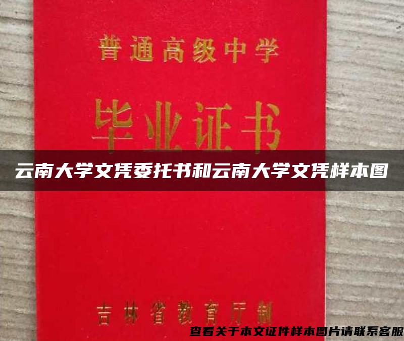 云南大学文凭委托书和云南大学文凭样本图