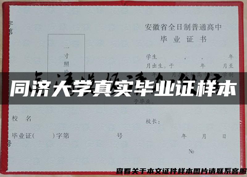 同济大学真实毕业证样本