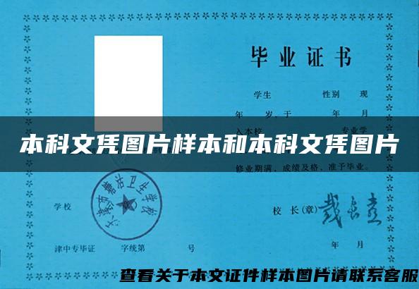 本科文凭图片样本和本科文凭图片 本科文凭图片样本和本科文凭图片