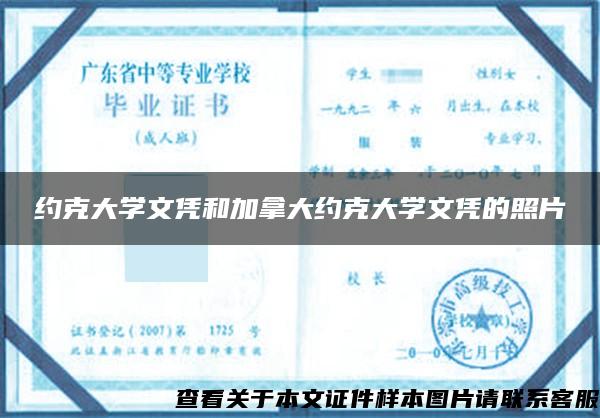 约克大学文凭和加拿大约克大学文凭的照片 约克大学文凭和加拿大约克大学文凭的照片