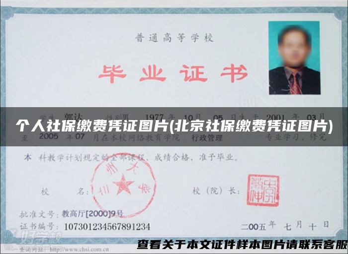 个人社保缴费凭证图片(北京社保缴费凭证图片)