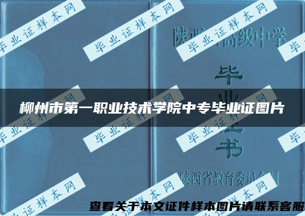 柳州市第一职业技术学院中专毕业证图片