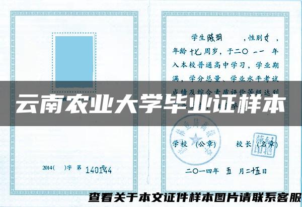 云南农业大学毕业证样本