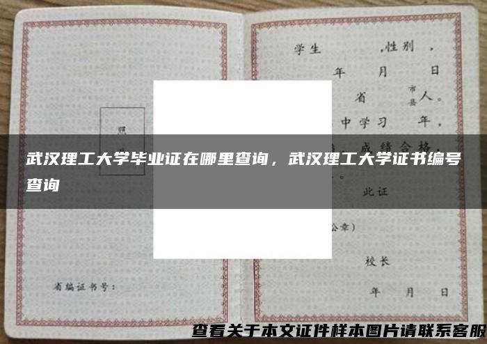 武汉理工大学毕业证在哪里查询，武汉理工大学证书编号查询