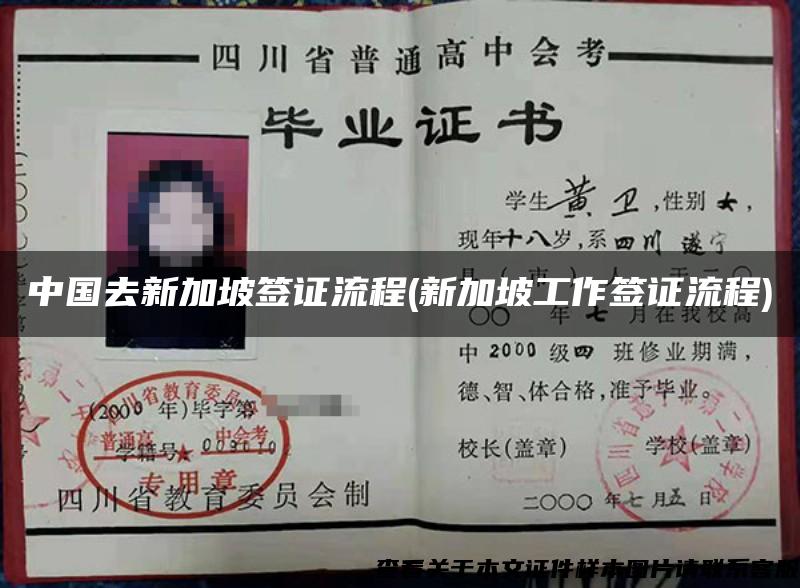 中国去新加坡签证流程(新加坡工作签证流程)