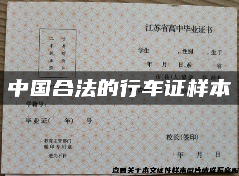中国合法的行车证样本