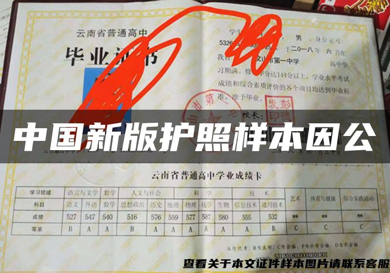 中国新版护照样本因公