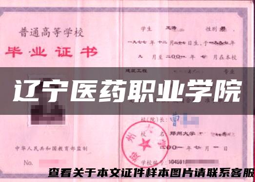 辽宁医药职业学院 辽宁医药职业学院