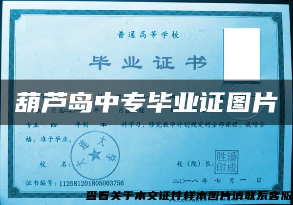 葫芦岛中专毕业证图片