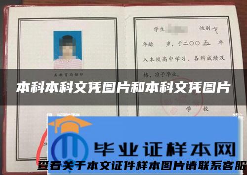 本科本科文凭图片和本科文凭图片