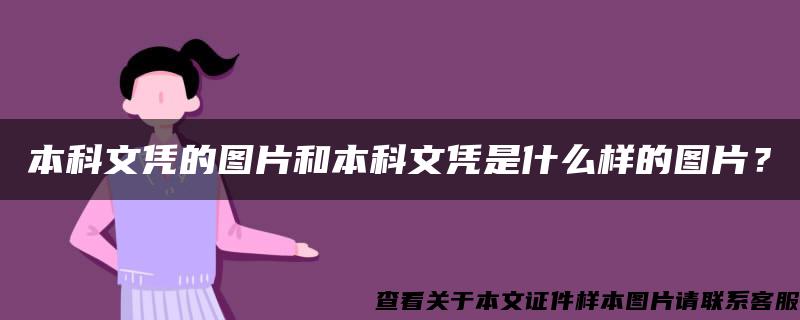 本科文凭的图片和本科文凭是什么样的图片？