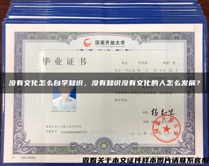 没有文化怎么自学知识,没有知识没有文化的人怎么发展? 没有文化怎么自学知识,没有知识没有文化的人怎么发展?