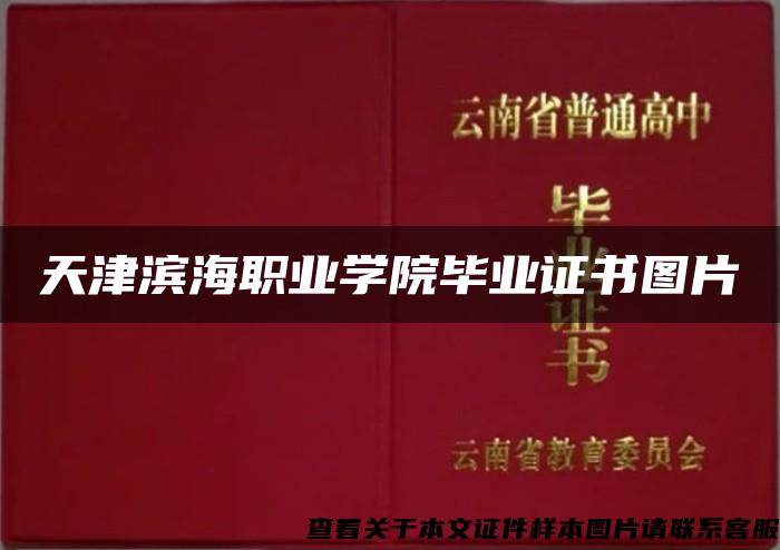 天津滨海职业学院毕业证书图片