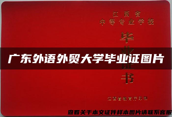 广东外语外贸大学毕业证图片