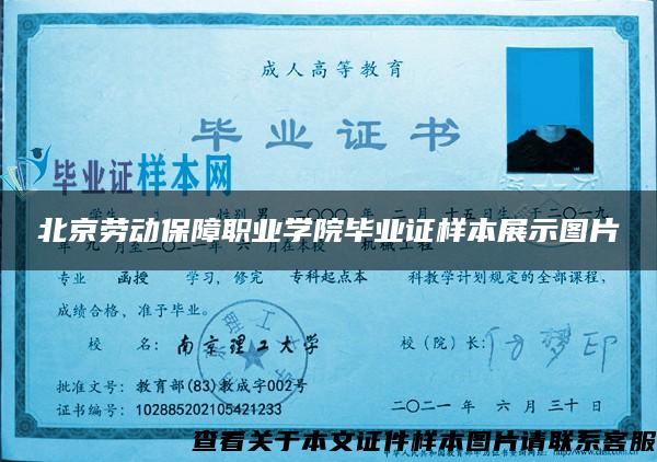 北京劳动保障职业学院毕业证样本展示图片