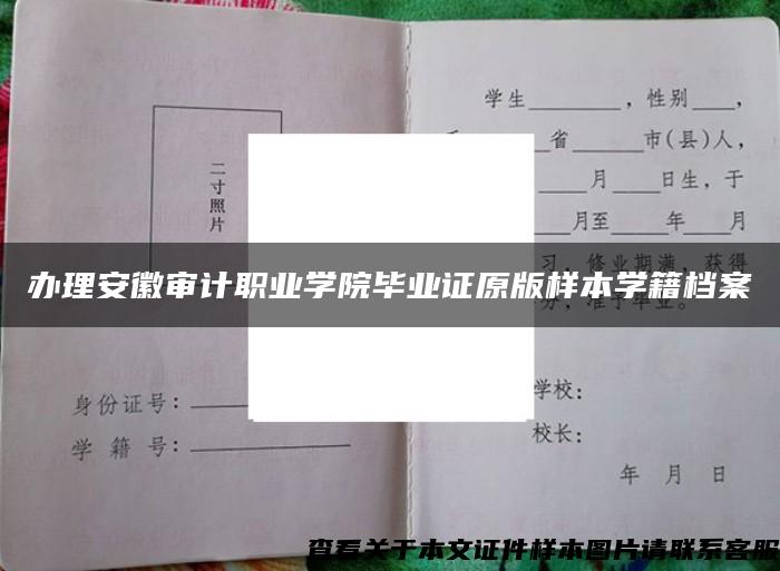办理安徽审计职业学院毕业证原版样本学籍档案
