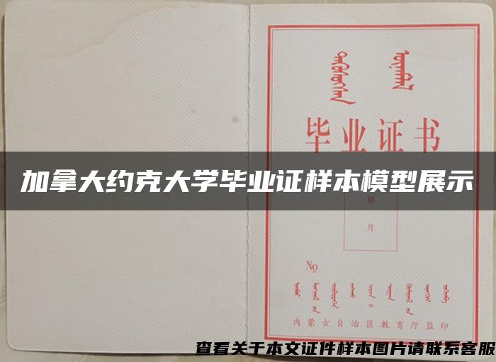 加拿大约克大学毕业证样本模型展示