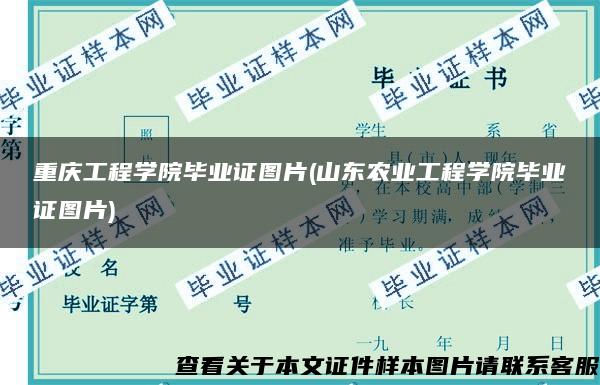 重庆工程学院毕业证图片(山东农业工程学院毕业证图片)