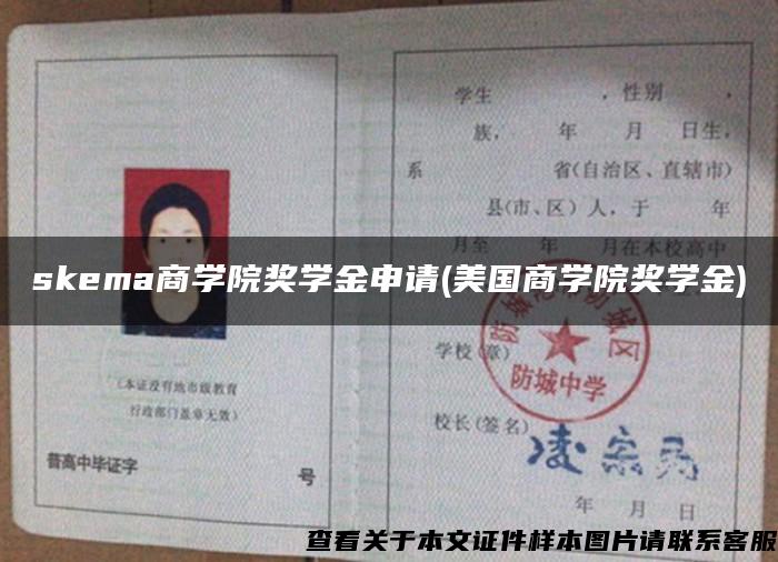 skema商学院奖学金申请(美国商学院奖学金)