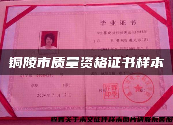 铜陵市质量资格证书样本