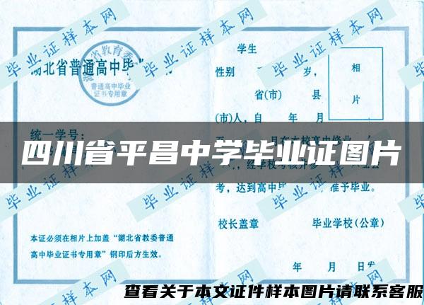 四川省平昌中学毕业证图片