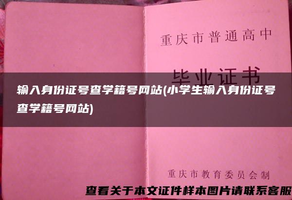 输入身份证号查学籍号网站(小学生输入身份证号查学籍号网站)
