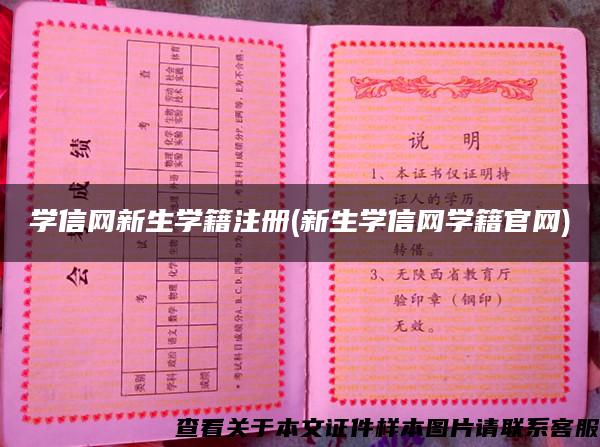 学信网新生学籍注册(新生学信网学籍官网)