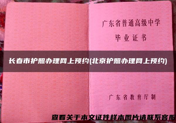 长春市护照办理网上预约(北京护照办理网上预约)