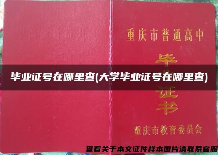毕业证号在哪里查(大学毕业证号在哪里查)
