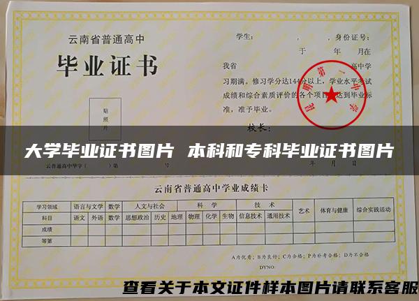 大学毕业证书图片 本科和专科毕业证书图片