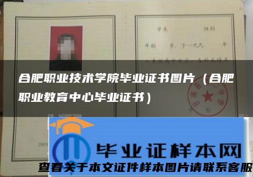 合肥职业技术学院毕业证书图片(合肥职业教育中心毕业证书) 合肥职业技术学院毕业证书图片(合肥职业教育中心毕业证书)