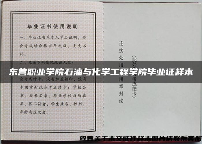 东营职业学院石油与化学工程学院毕业证样本
