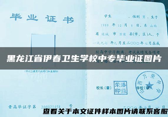 黑龙江省伊春卫生学校中专毕业证图片