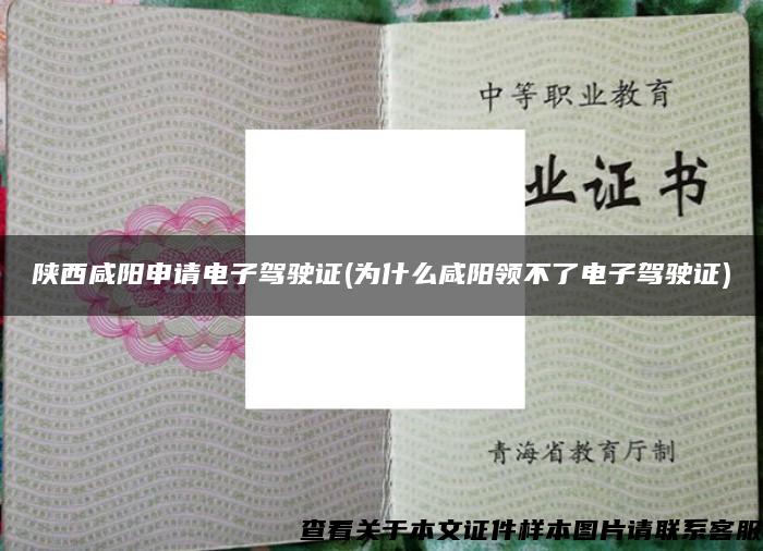 陕西咸阳申请电子驾驶证(为什么咸阳领不了电子驾驶证)
