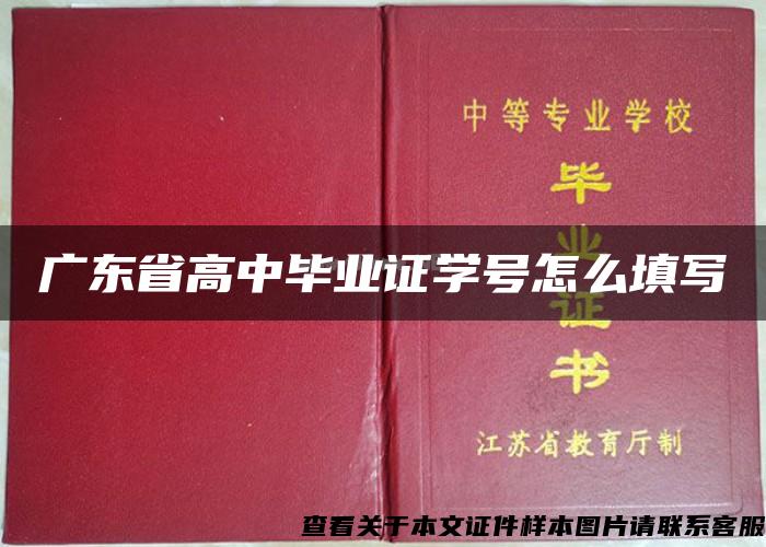 广东省高中毕业证学号怎么填写
