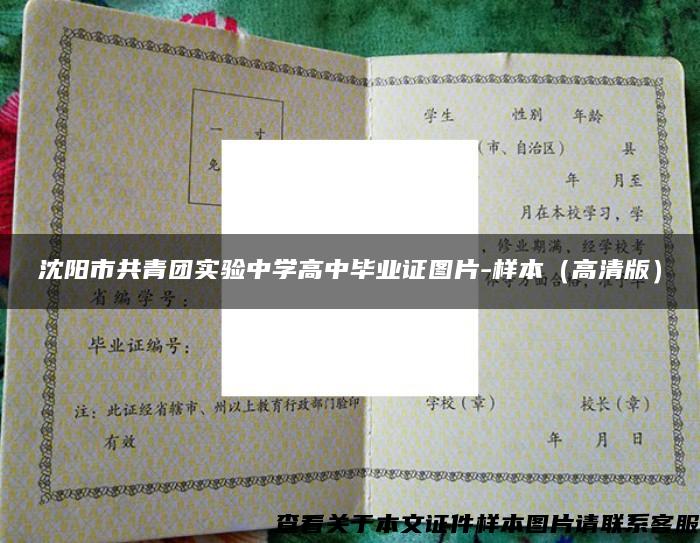 沈阳市共青团实验中学高中毕业证图片-样本（高清版）