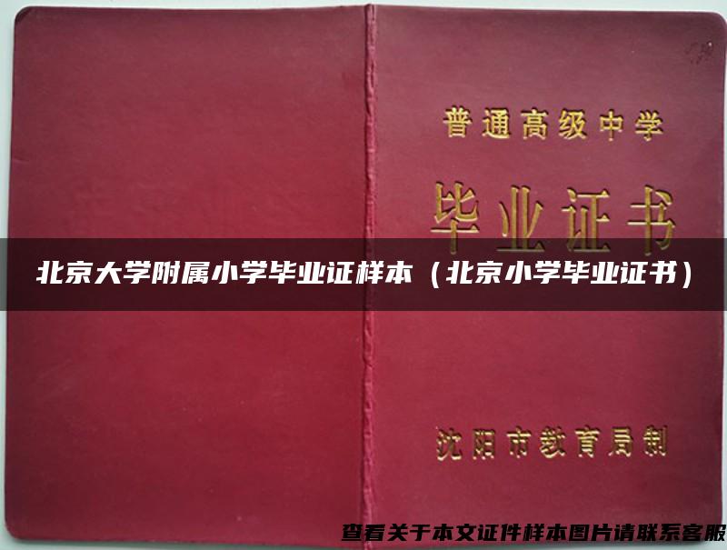 北京大学附属小学毕业证样本（北京小学毕业证书）