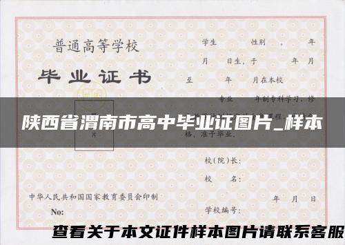 陕西省渭南市高中毕业证图片_样本