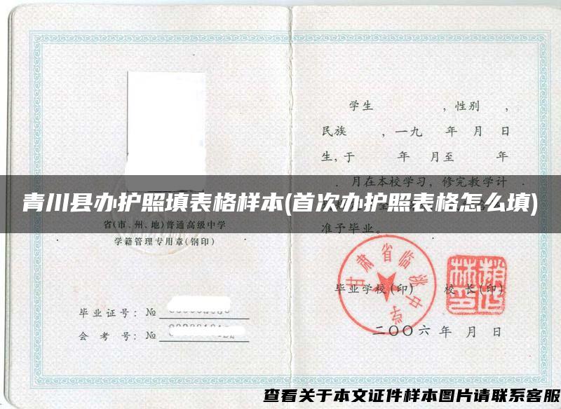 青川县办护照填表格样本(首次办护照表格怎么填)
