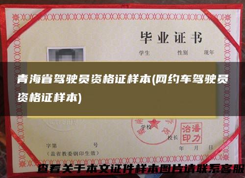 青海省驾驶员资格证样本(网约车驾驶员资格证样本)