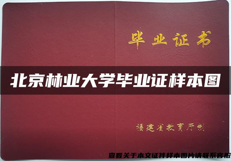 北京林业大学毕业证样本图
