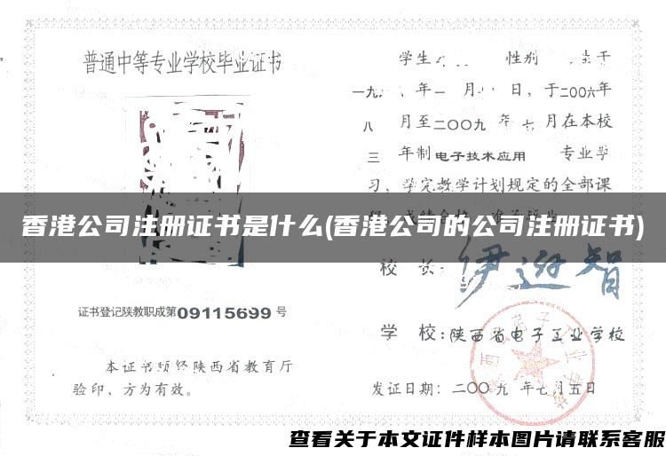 香港公司注册证书是什么(香港公司的公司注册证书)