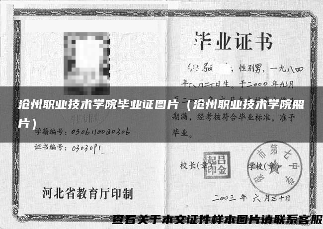 沧州职业技术学院毕业证图片(沧州职业技术学院照片) 沧州职业技术学院毕业证图片(沧州职业技术学院照片)