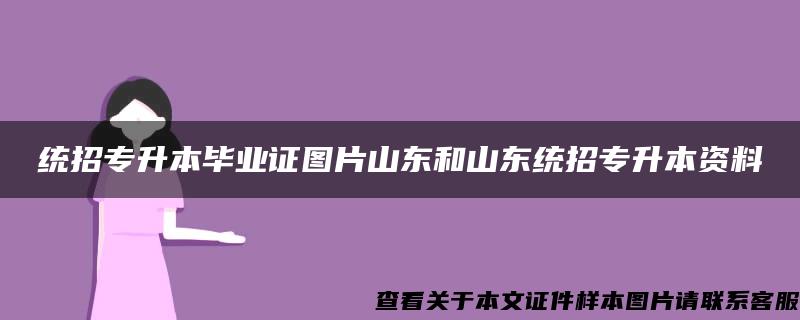 统招专升本毕业证图片山东和山东统招专升本资料