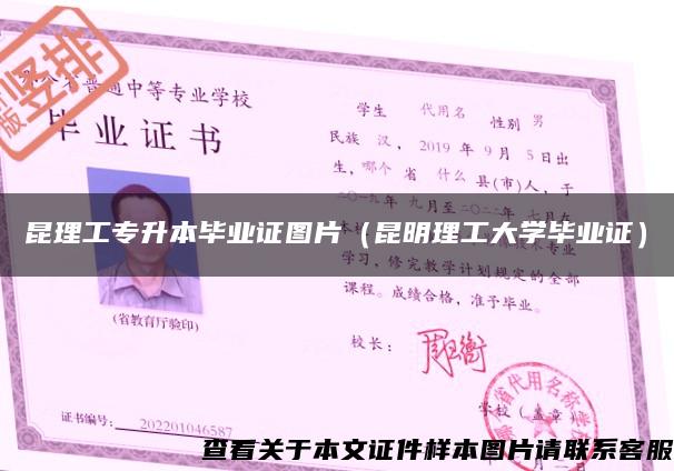 昆理工专升本毕业证图片（昆明理工大学毕业证）