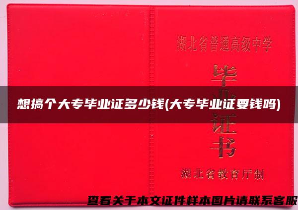 想搞个大专毕业证多少钱(大专毕业证要钱吗)